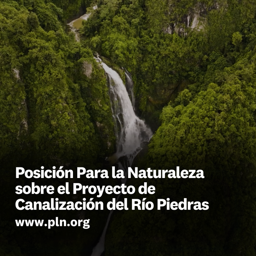 Posici&oacute;n Para la Naturaleza sobre el Proyecto de  Canalizaci&oacute;n del R&iacute;o Piedras