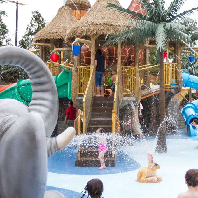 Fort Worth Fun: 10 Best Things to Do with Kids in Cowtown