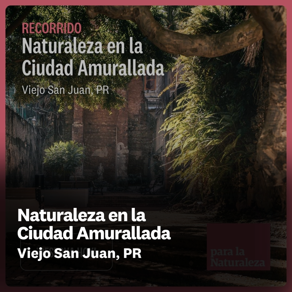 Naturaleza en la Ciudad Amurallada