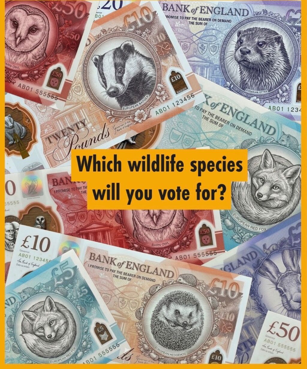 Vote now on wildlife bank notes