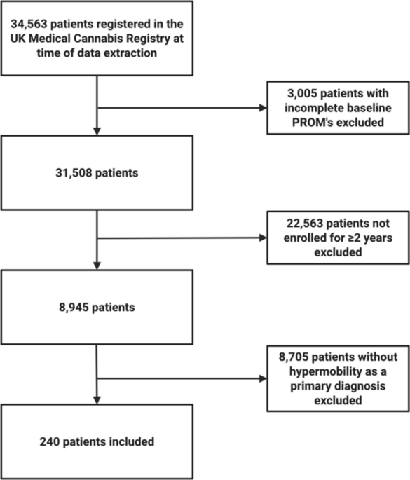 UK Medical Cannabis Registry: an updated analysis of clinical outcomes of medicinal cannabis therapy for hypermobility-associated chronic pain - Clinical Rheumatology