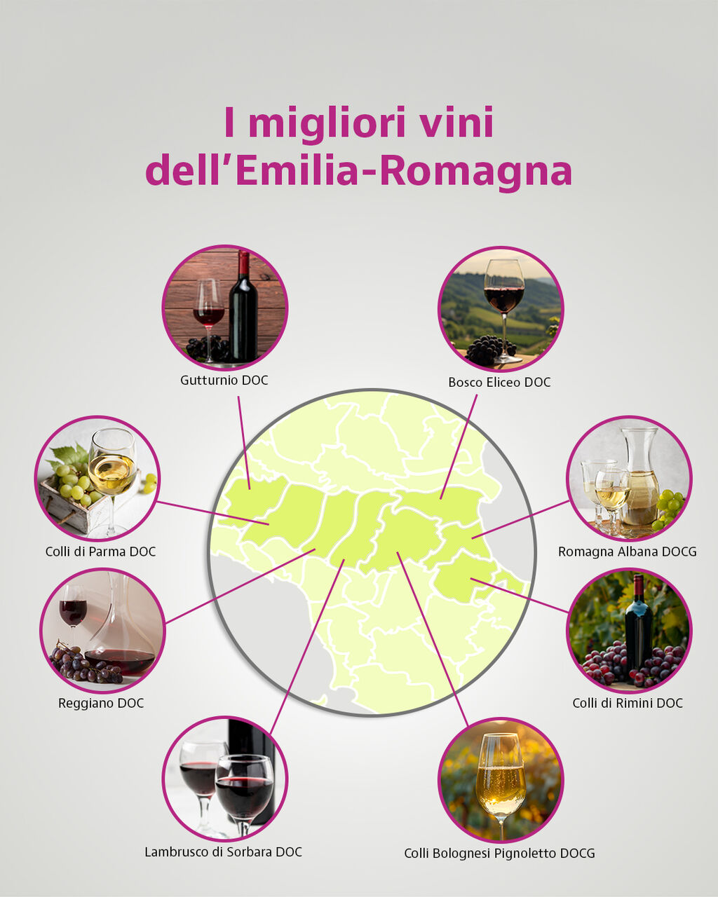 I vini tipici dell'Emilia-Romagna: guida ai migliori rossi e bianchi della regione