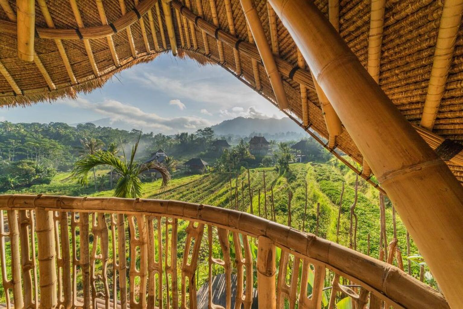 Top 5 Tree House Hotels In Bali 