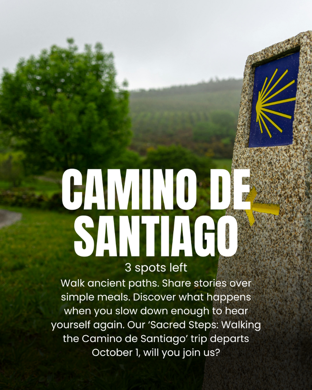 June 17: Almost Gone Camino de Santiago