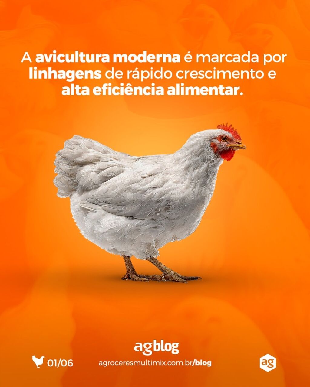 Entenda como a ambi&ecirc;ncia pode contribuir para reduzir a preval&ecirc;ncia da enfermidade. 