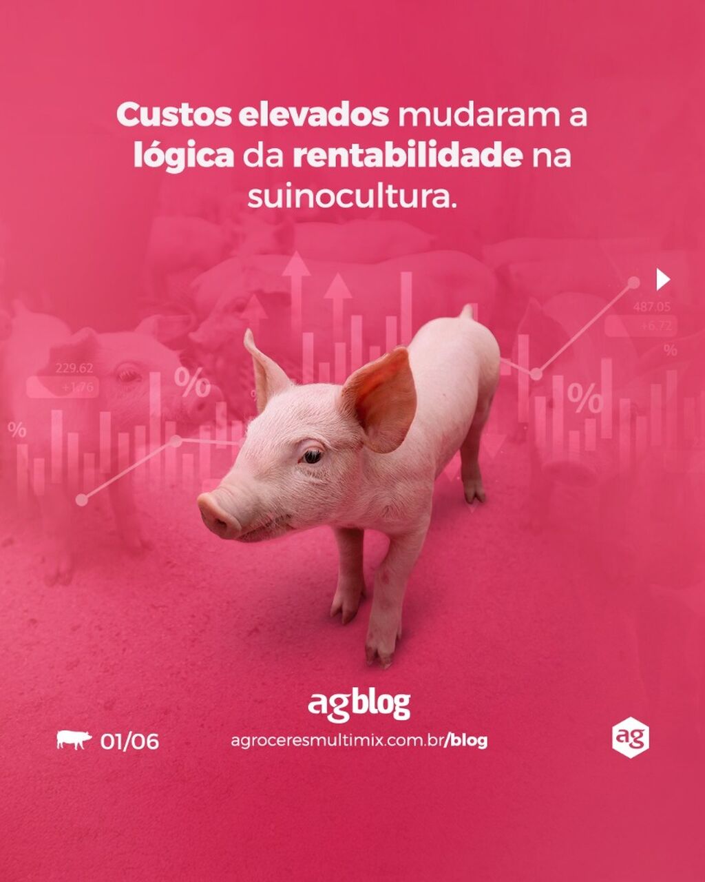 No agBlog, aprofundamos essa discuss&atilde;o e mostramos por que efici&ecirc;ncia produtiva e rentabilidade precisam caminhar juntas.