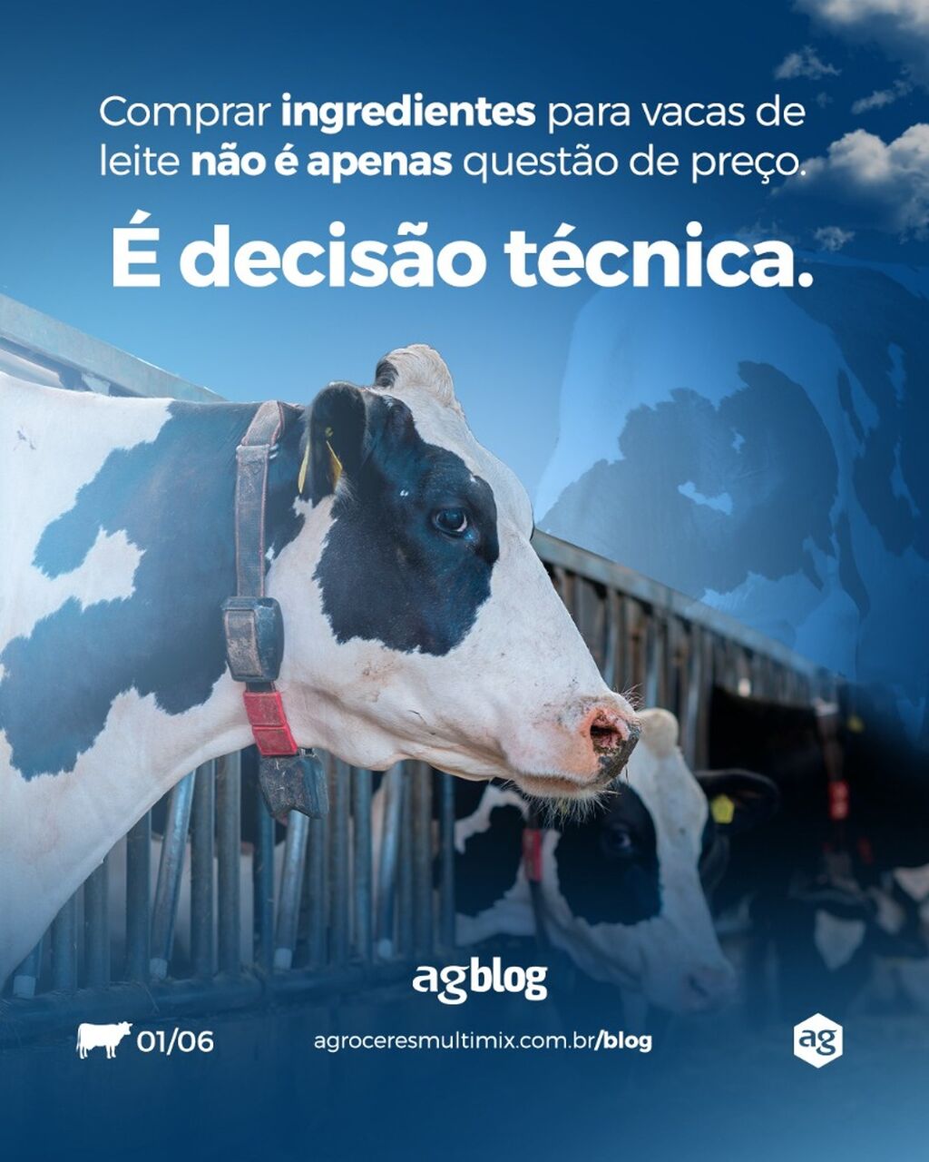 Na nutri&ccedil;&atilde;o de vacas de leite, decis&otilde;es tomadas no setor de compras t&ecirc;m impacto direto no desempenho do rebanho. 