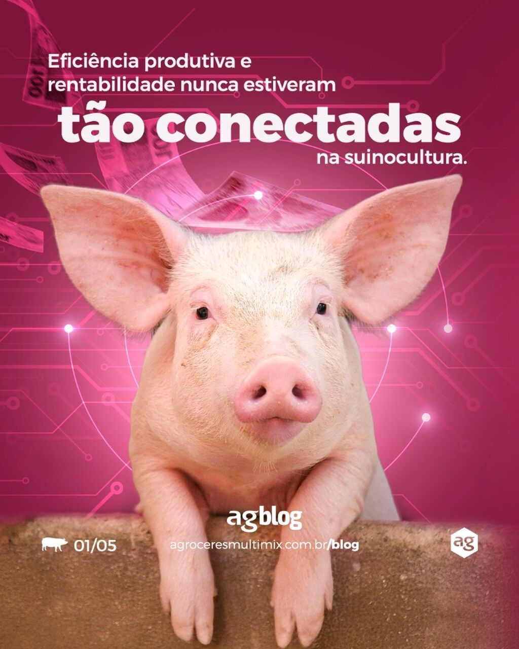 Efici&ecirc;ncia produtiva e rentabilidade: a vis&atilde;o estrat&eacute;gica das curvas de consumo.