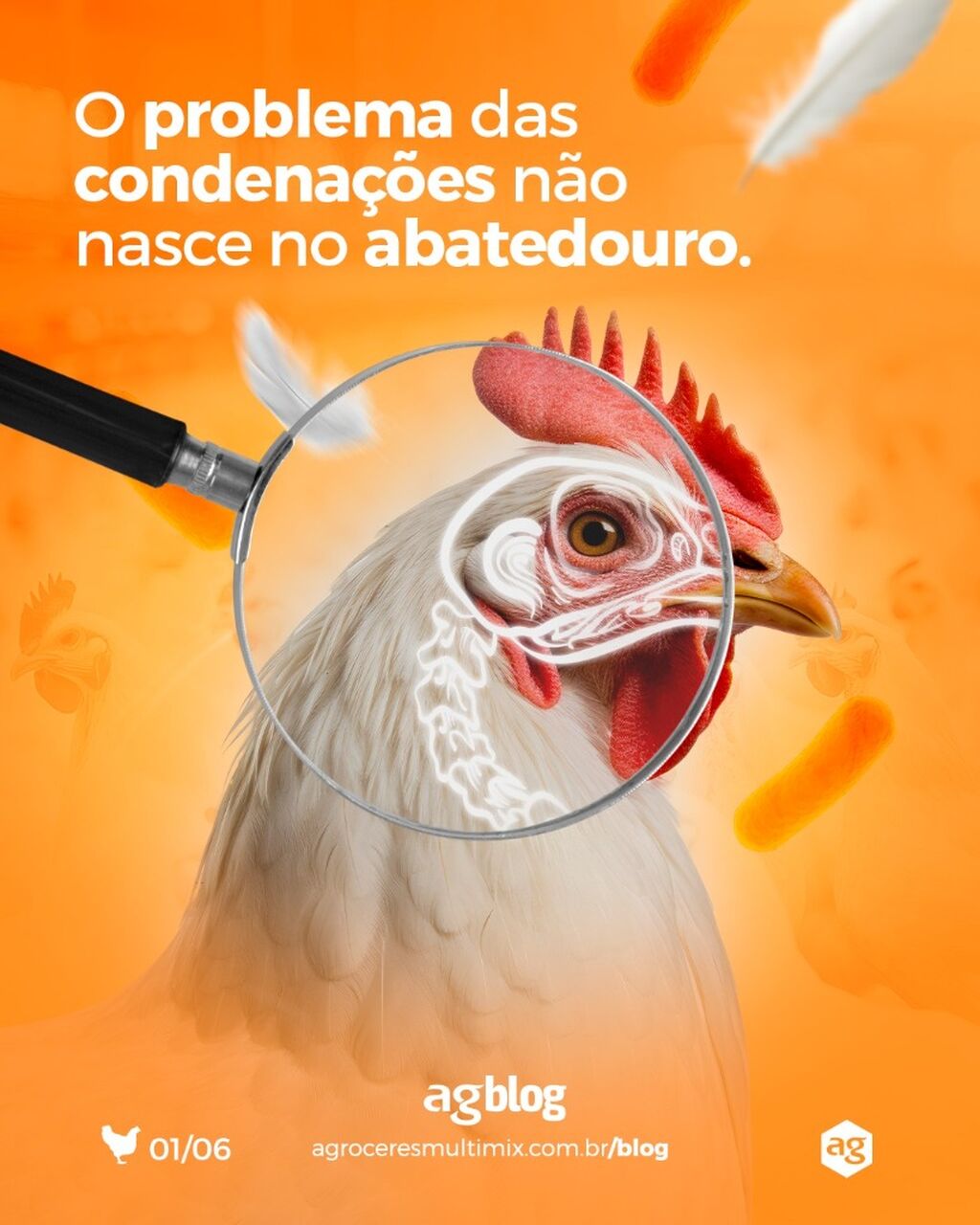 Condena&ccedil;&otilde;es em abatedouros: artrite, pododermatite e ascite em frangos de corte.