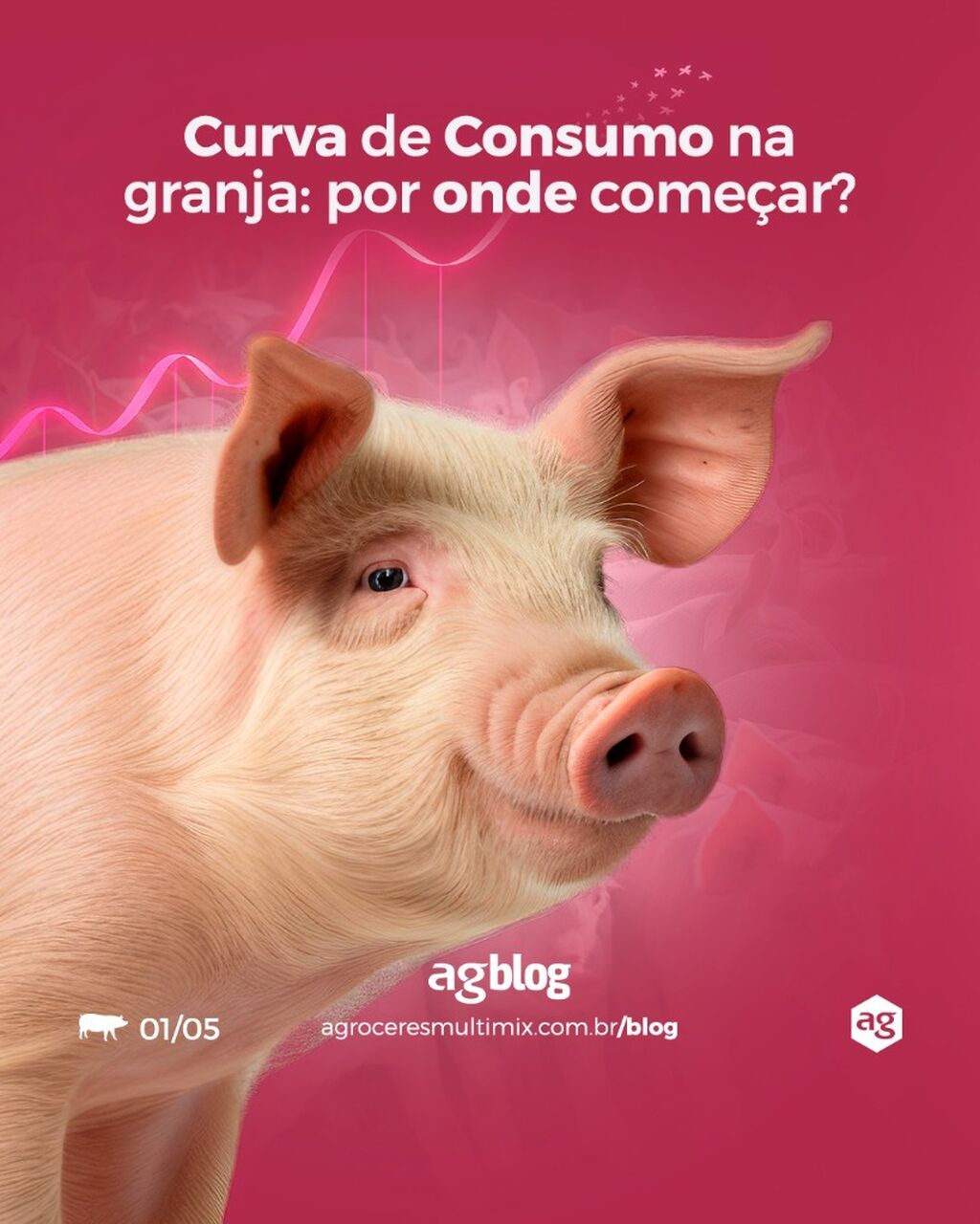 Como implantar o projeto de Curva de Consumo na granja? Uma abordagem pr&aacute;tica.