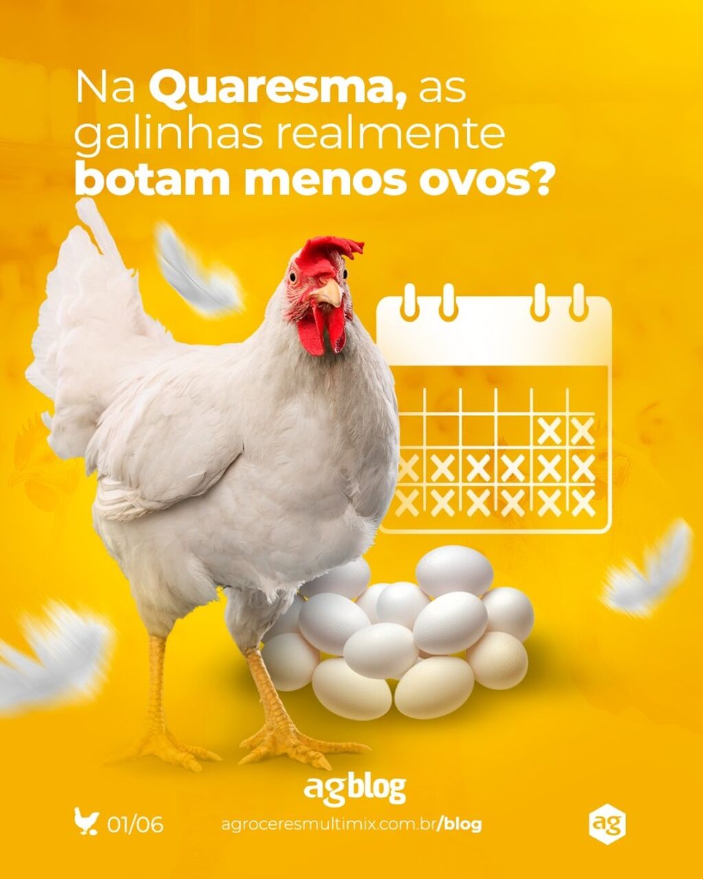Afinal, o que acontece com as galinhas na Quaresma?