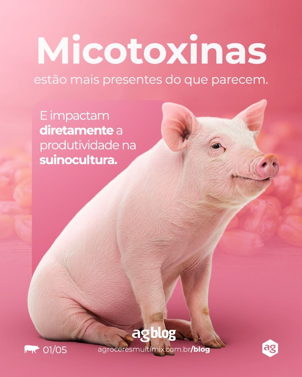 Micotoxinas em su&iacute;nos: import&acirc;ncia, preval&ecirc;ncia e formas de minimizar os seus efeitos