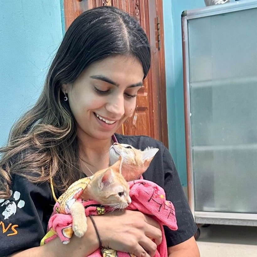 WVS Global Veterinary Challenge