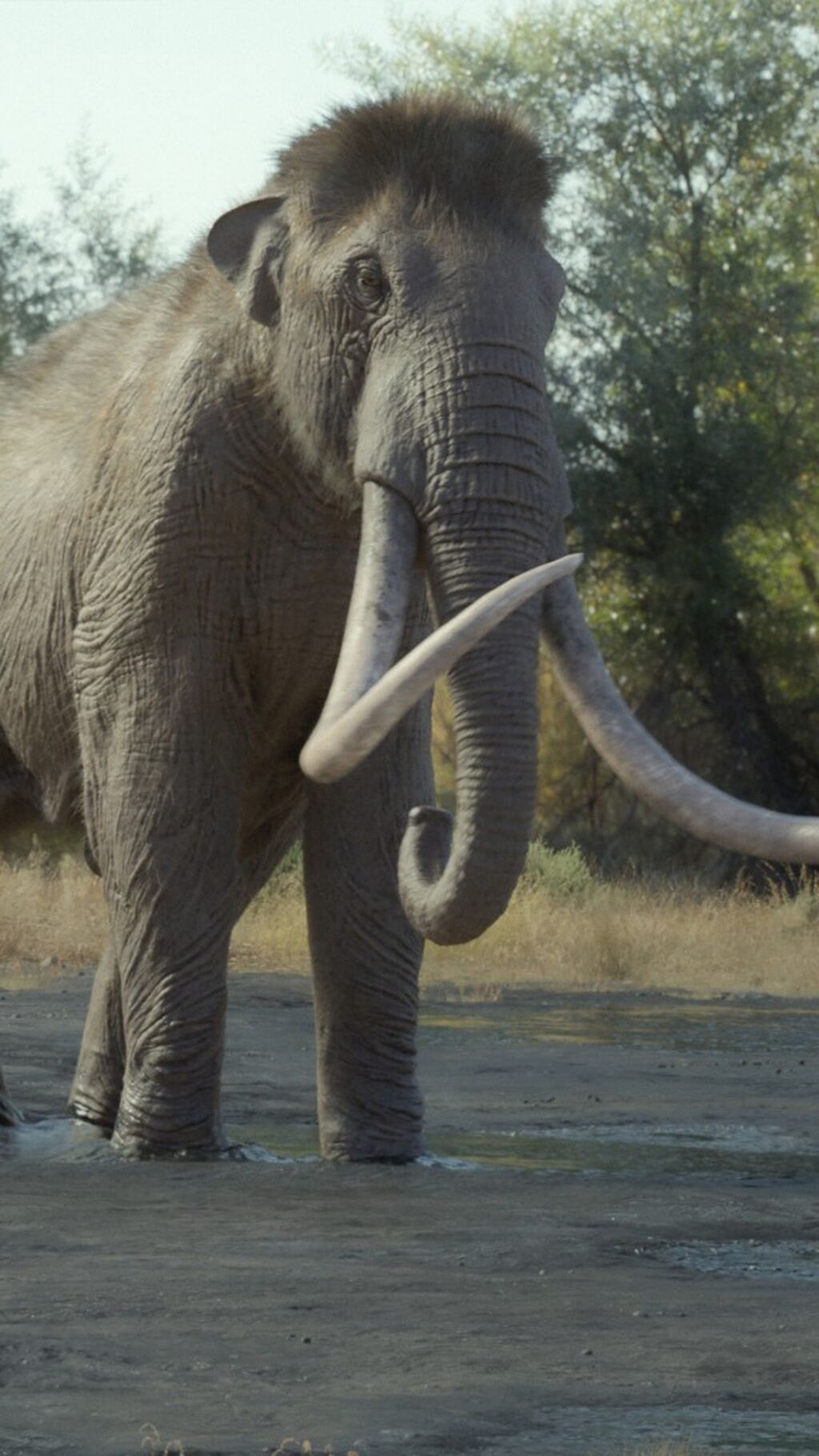 Prehistoric Planet:Ice Age VFX Breakdown