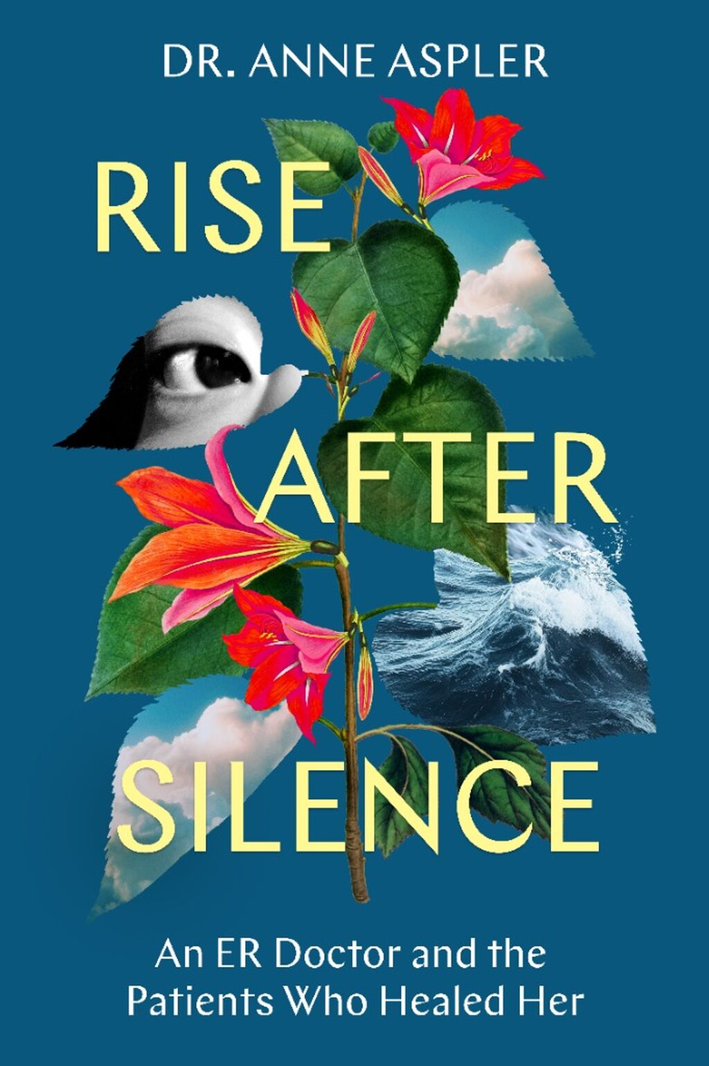 RISE AFTER SILENCE &mdash; Get the Book