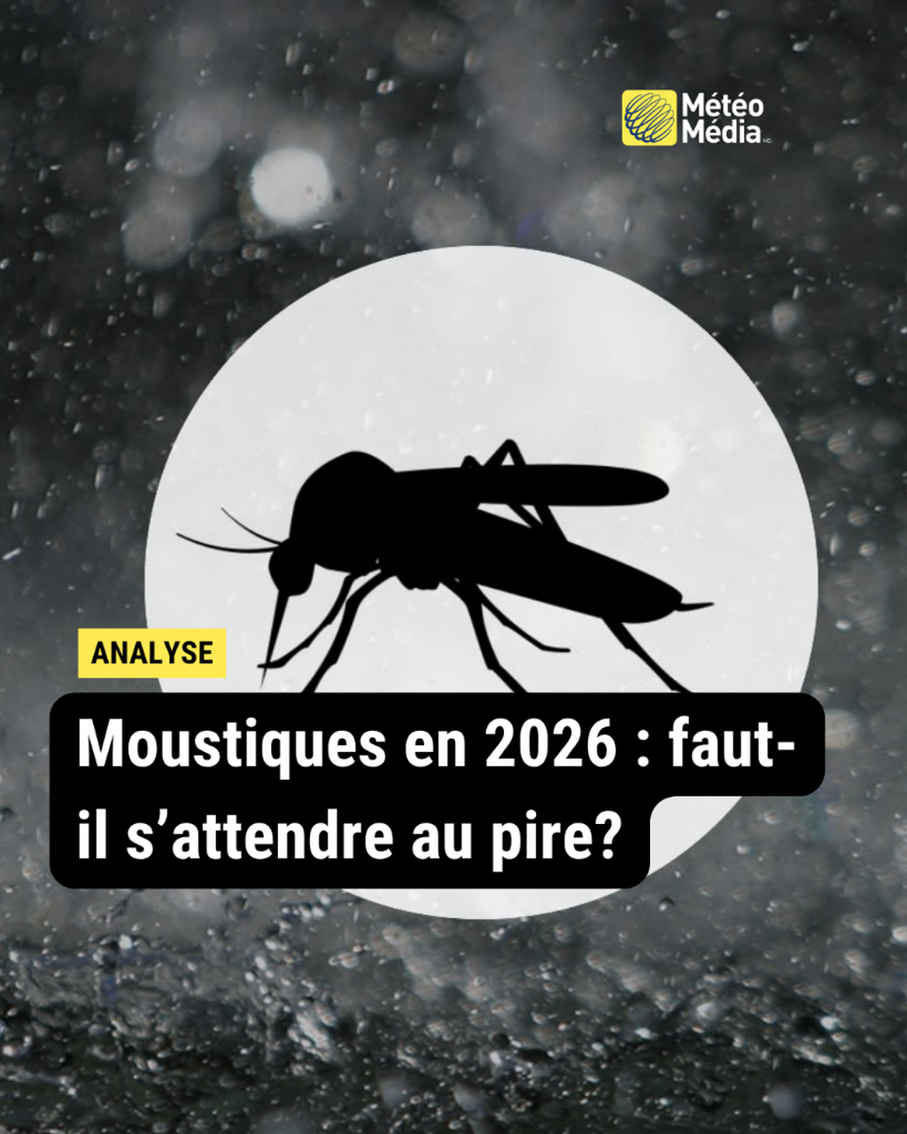 Moustiques en 2026 : faut-il s'attendre au pire?