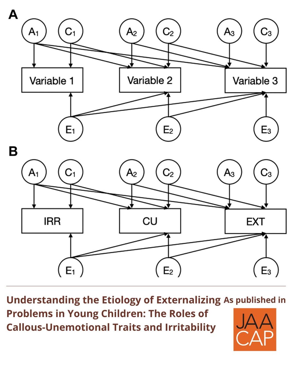 JAACAP 1225 Understanding the Etiology of Externalizing Problems in Young Children: The Roles of Callous-Unemotional Traits and Irritability