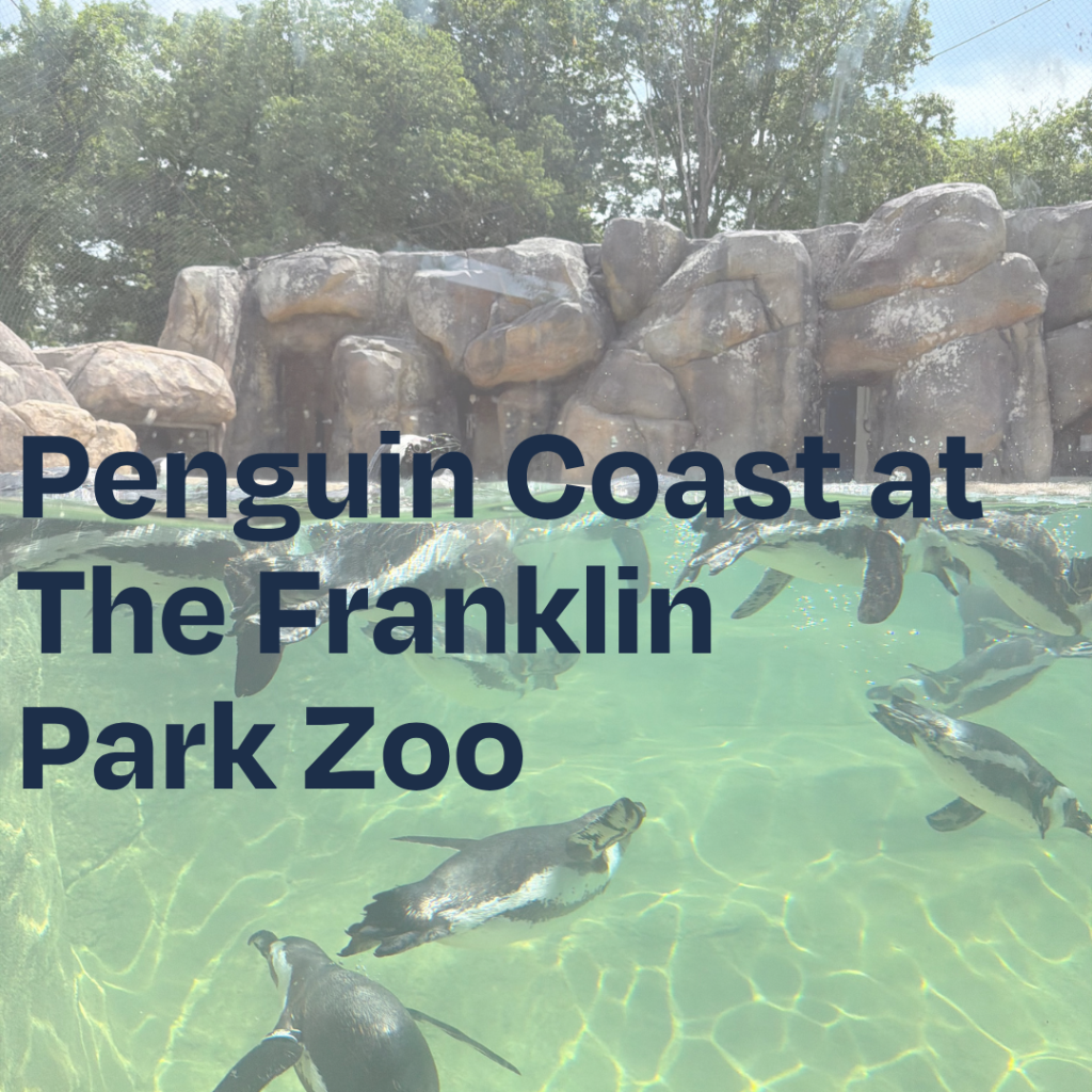Penguin Coast at The Franklin Park Zoo