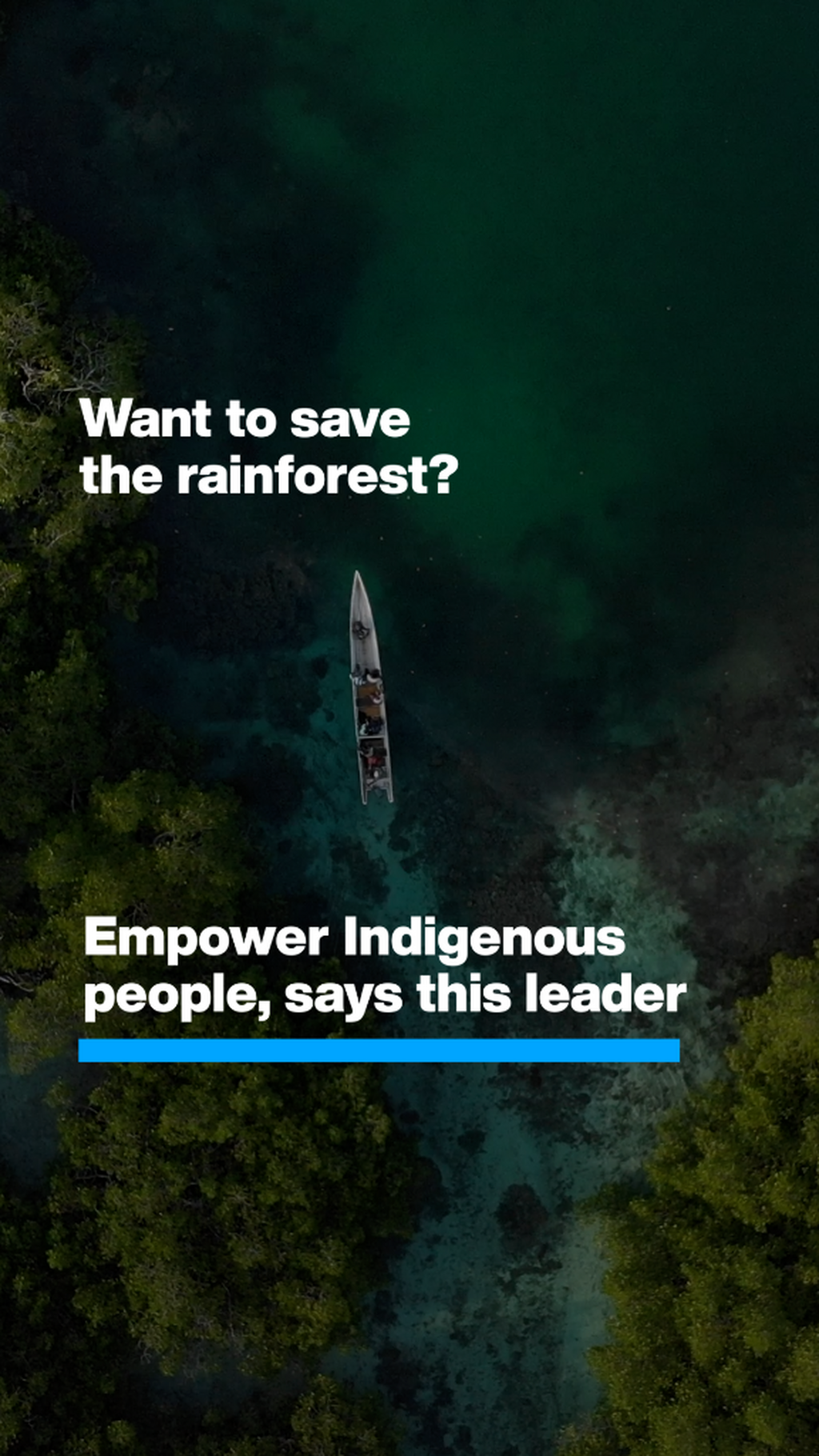 Indigenous Peoples' Knowledge and Leadership Network