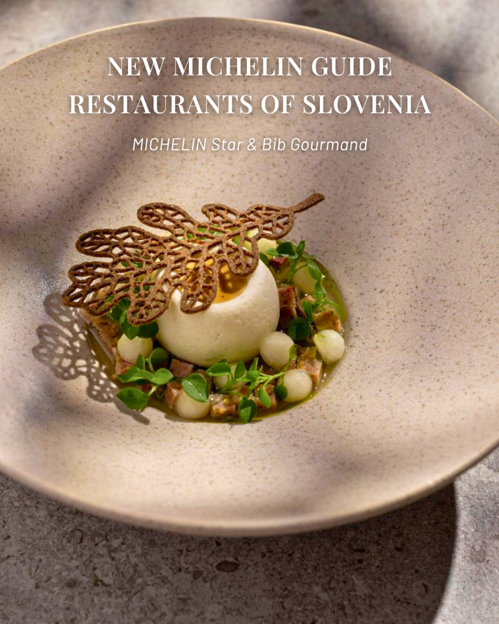 The MICHELIN Guide Slovenia 2026 is Out!