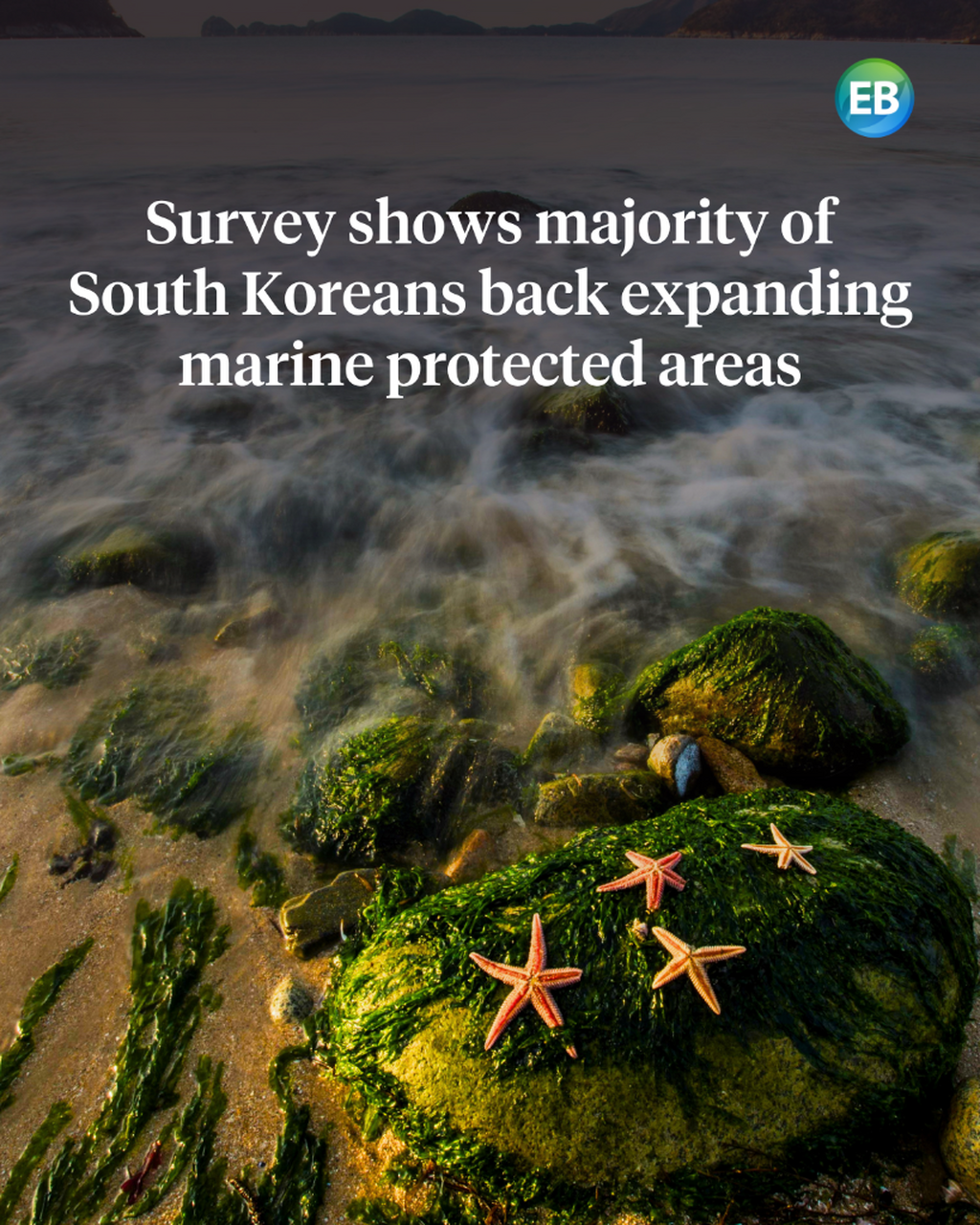 Survey shows majority of South Koreans back expanding marine protected areas