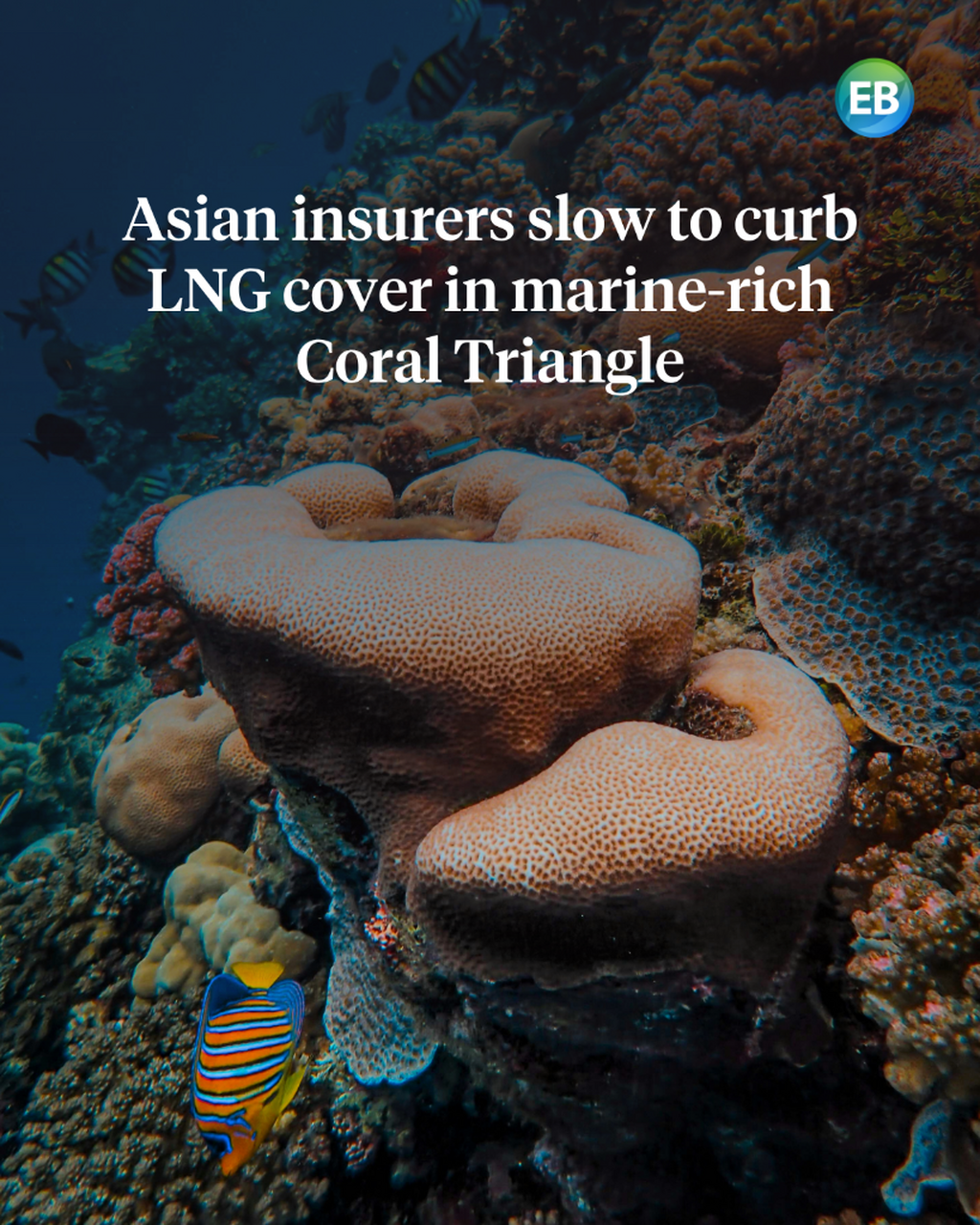 Asian insurers slow to curb LNG cover in marine-rich Coral Triangle