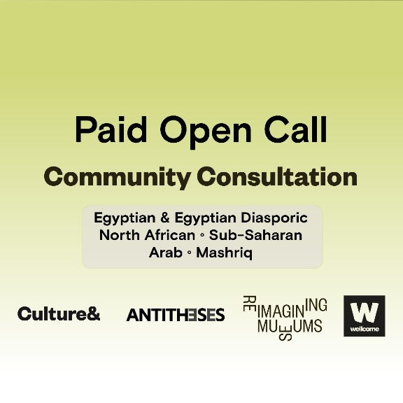  Expressions of Interest: Lived Experience Panel