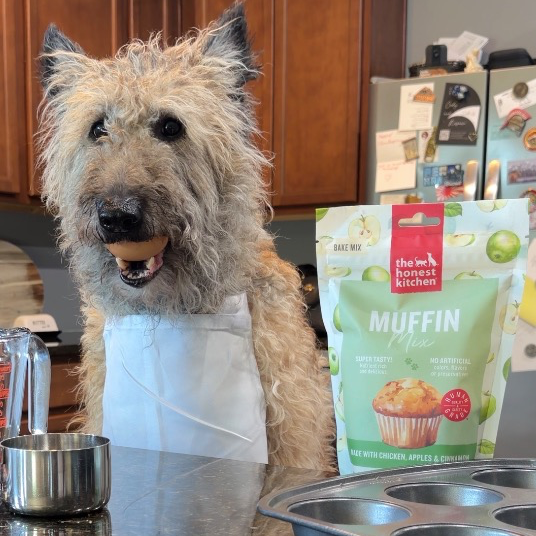 The Honest Kitchen 👩&zwj;🍳