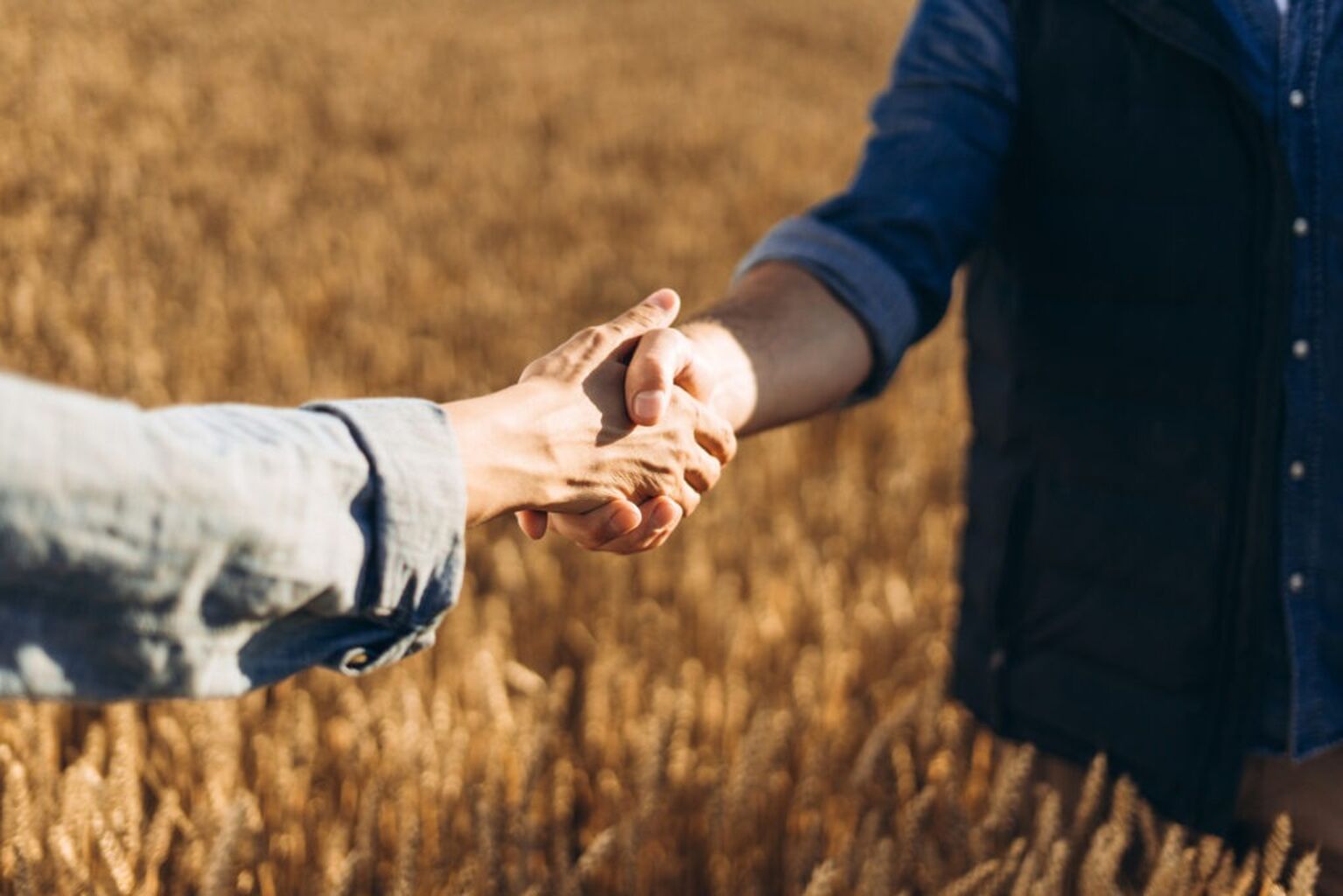 The Role of Rural Community Partners in Addressing the Opioid Crisis