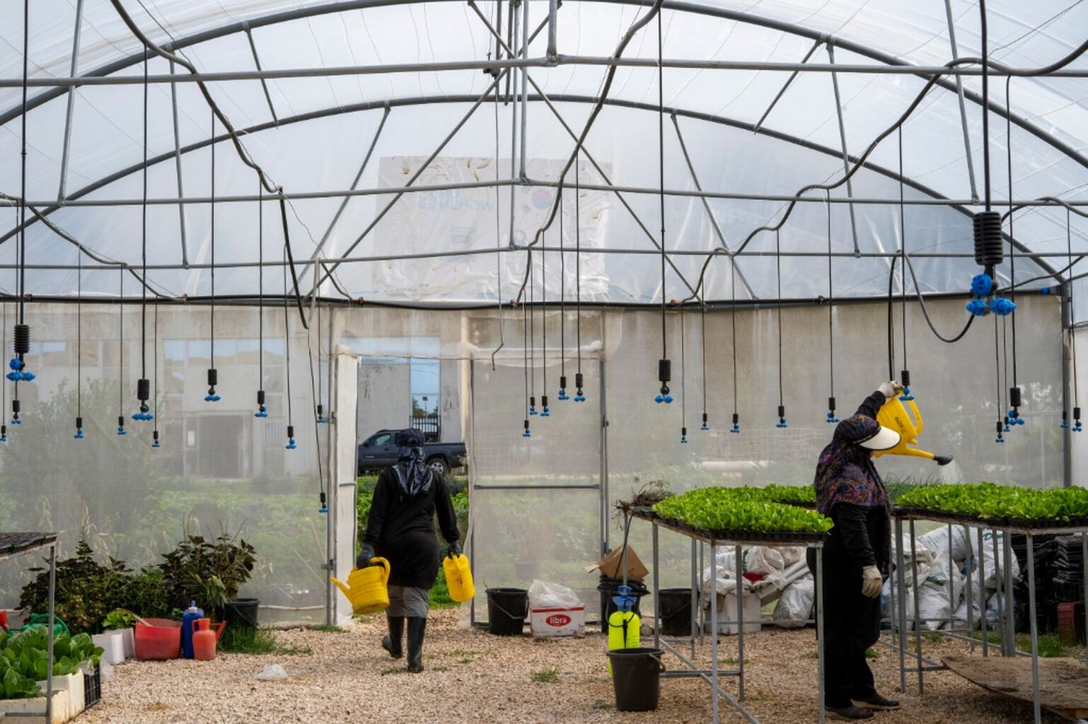 "A Silent War on Life&rdquo;: The Fight for Lebanon&rsquo;s Land and Seeds