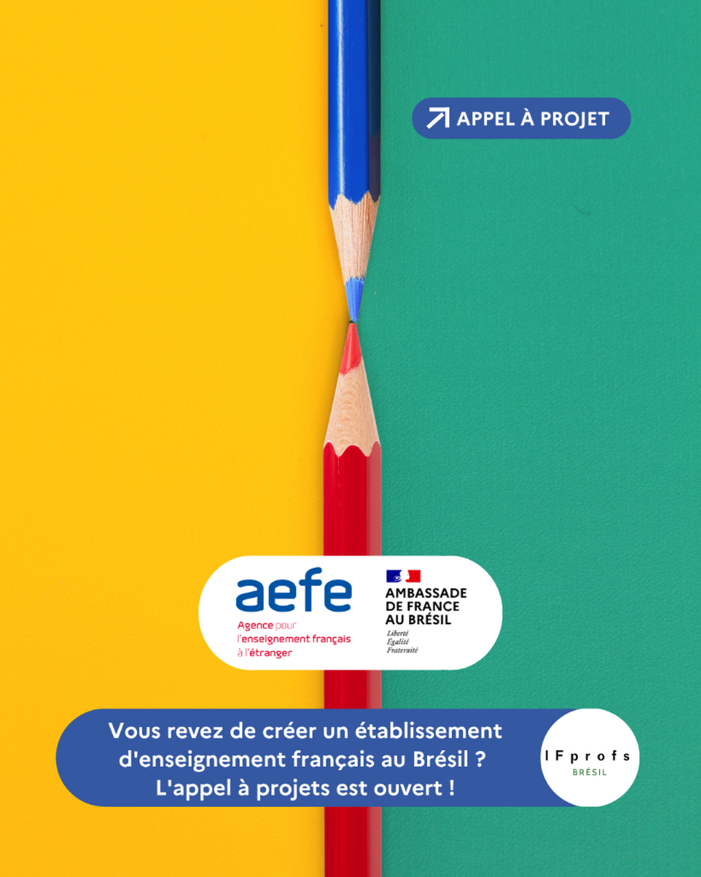 APPEL &Agrave; PROJET - AEFE