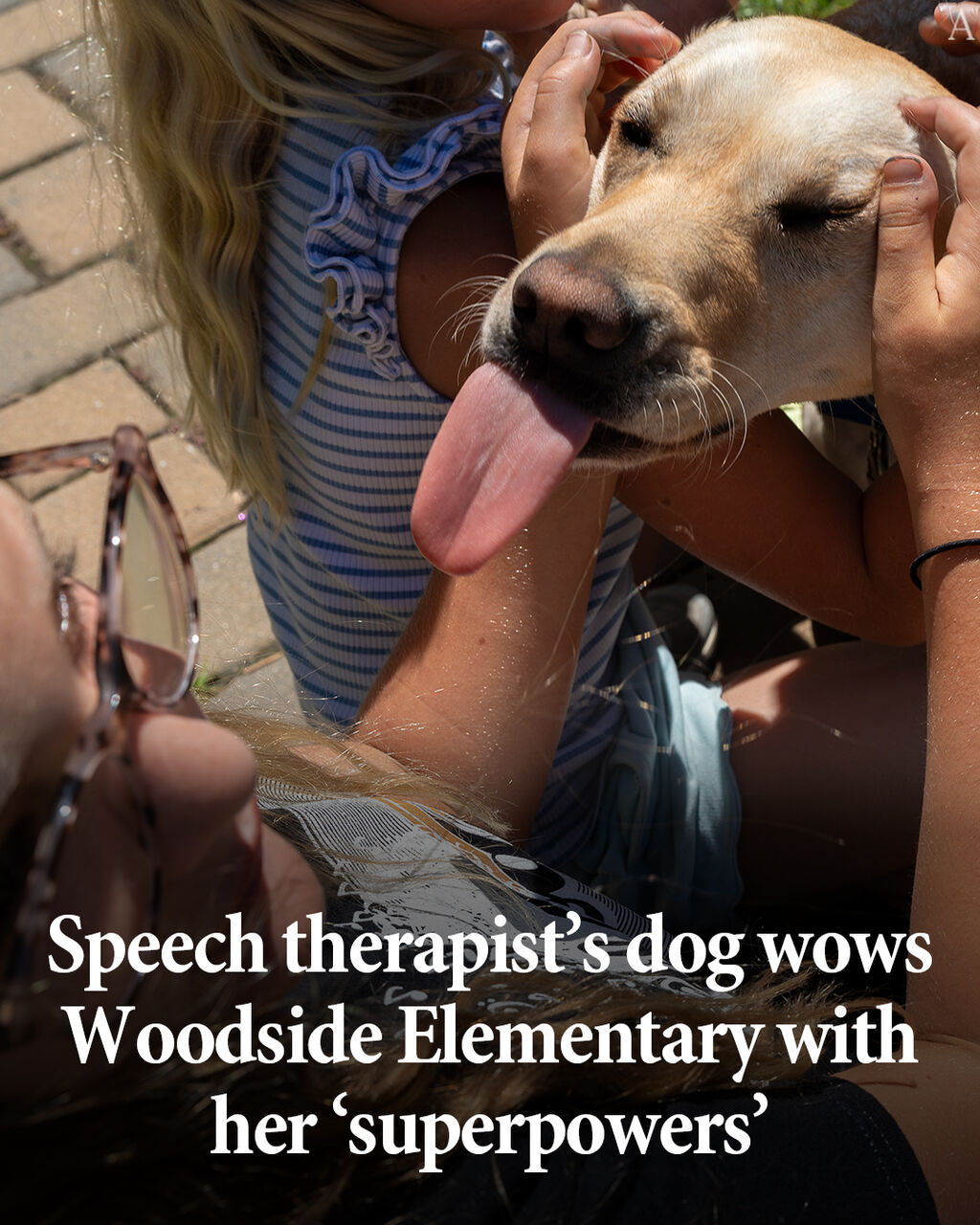 Speech therapist&rsquo;s dog wows Woodside Elementary with her &lsquo;superpowers&rsquo;