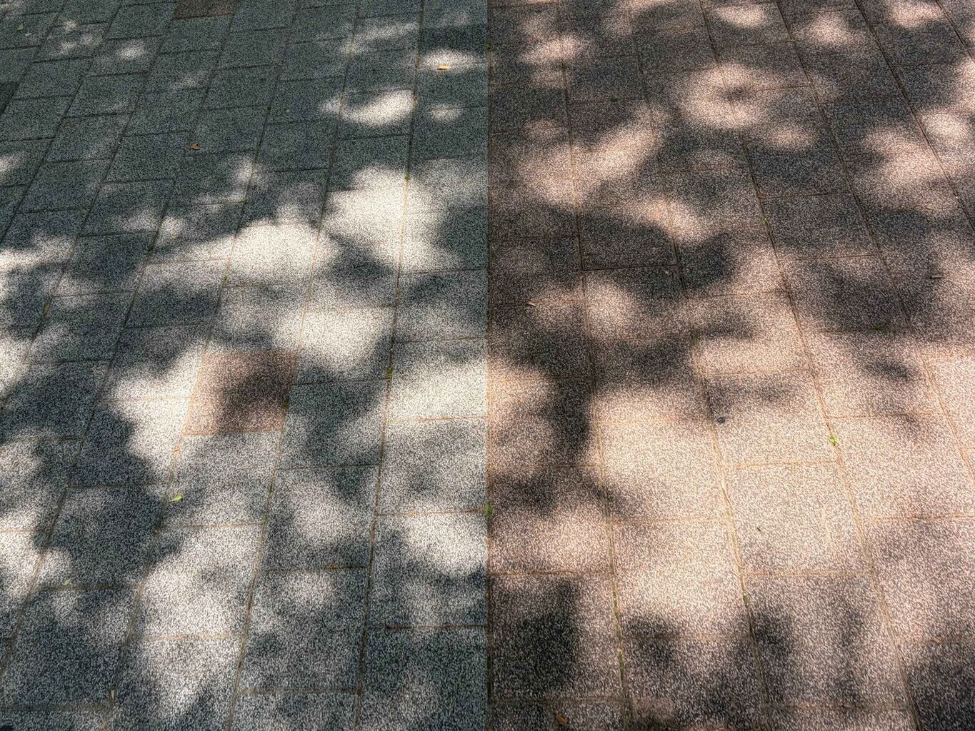 볕 들 날 없는 음지