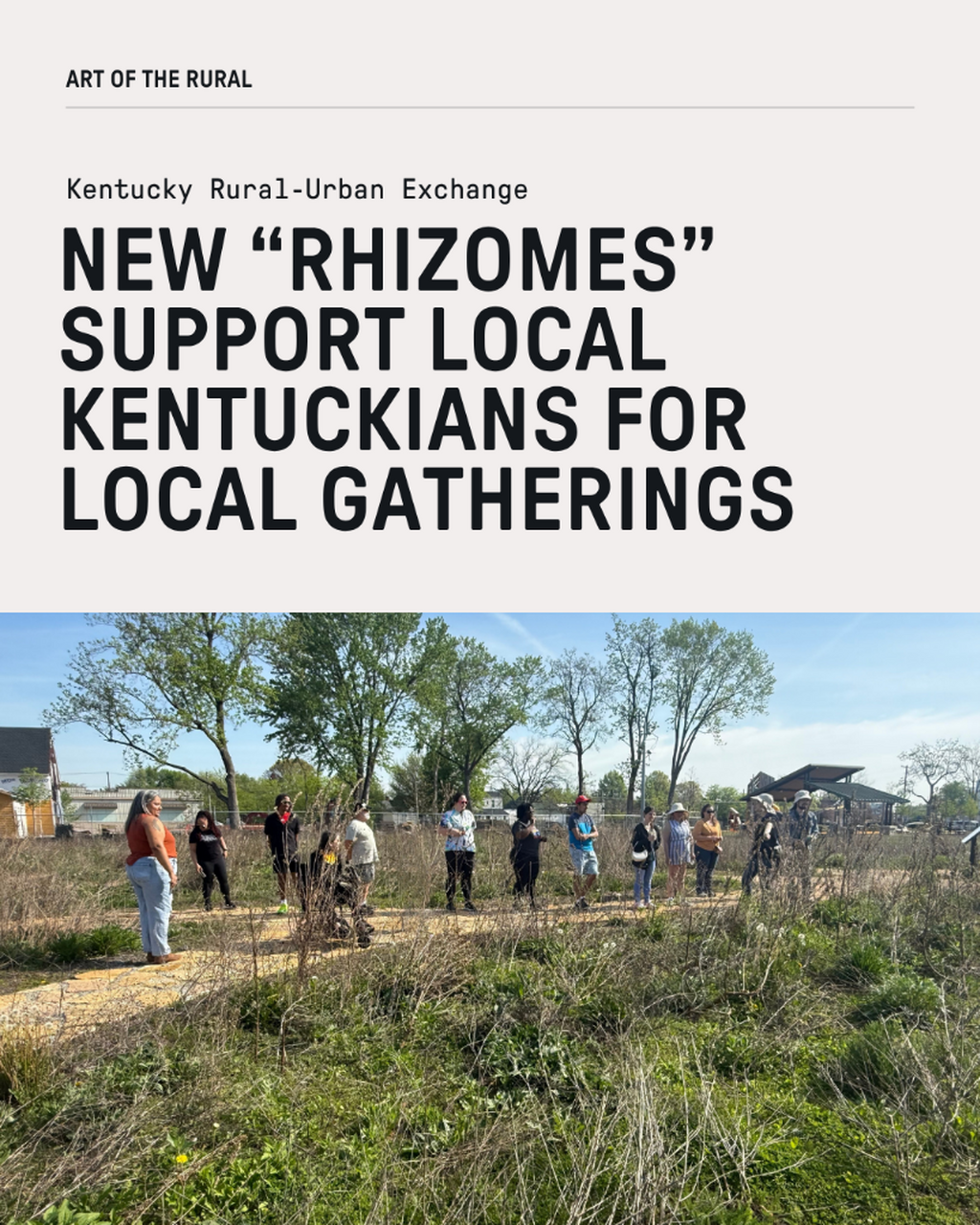 Learn more: RUX Rhizomes