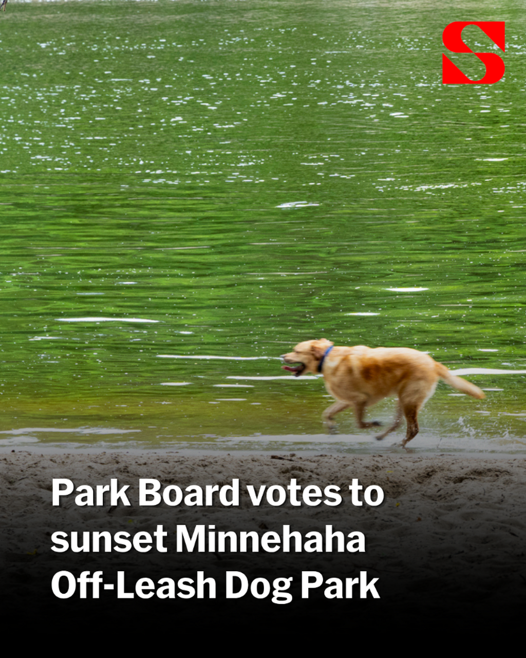Last-minute push from dog owners fails to delay decision to close Minnehaha Off-Leash Dog Park