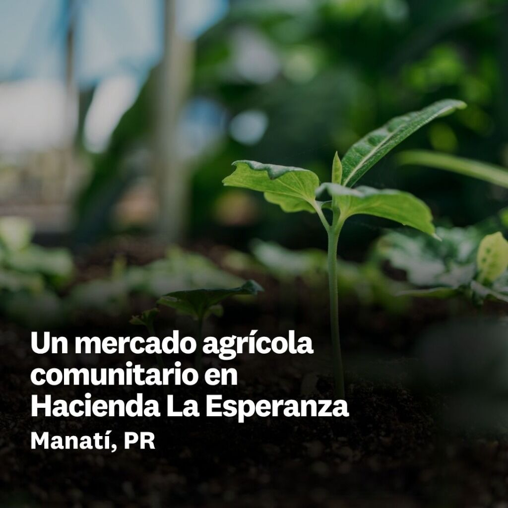 Un mercado agr&iacute;cola comunitario en Hacienda La Esperanza