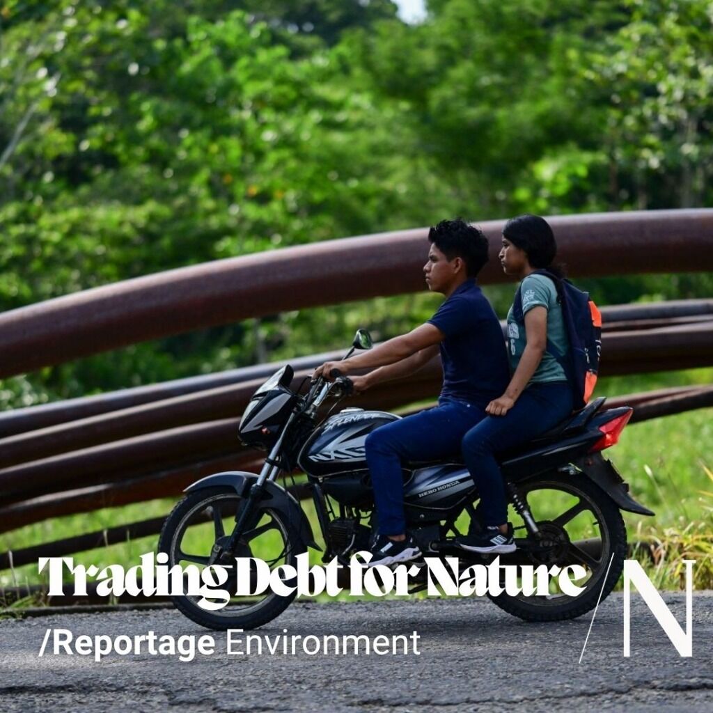 Inside the Rise of Debt-For-Nature Swaps
