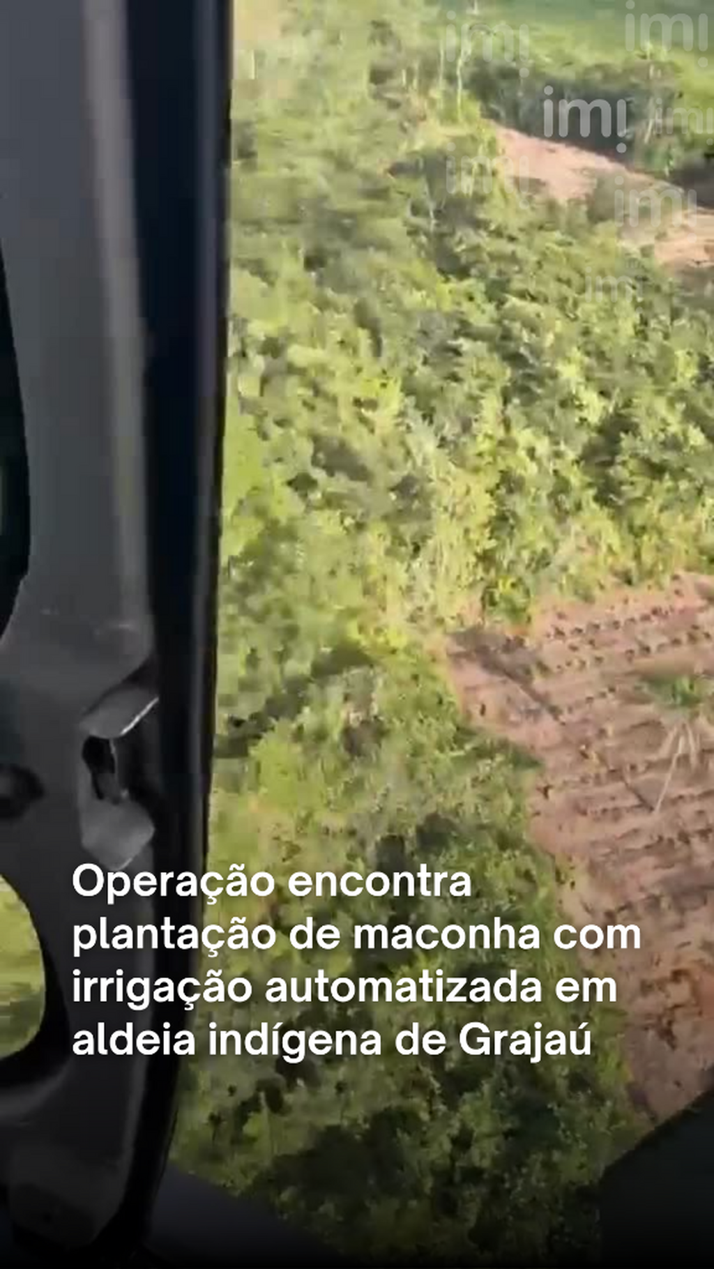 Opera&ccedil;&atilde;o encontra planta&ccedil;&atilde;o de maconha com irriga&ccedil;&atilde;o automatizada em aldeia ind&iacute;gena de Graja&uacute;
