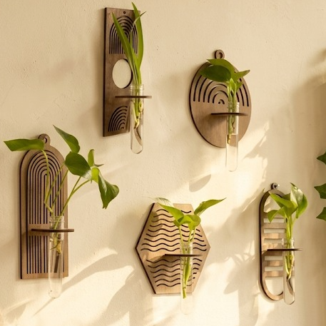 Test Tube planters💫