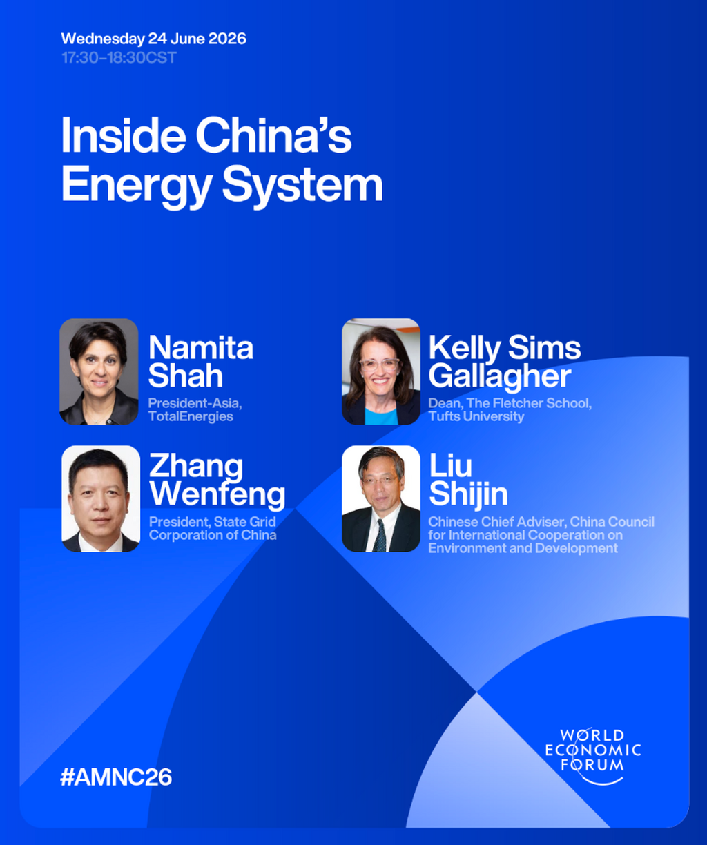 Inside China&rsquo;s Energy System