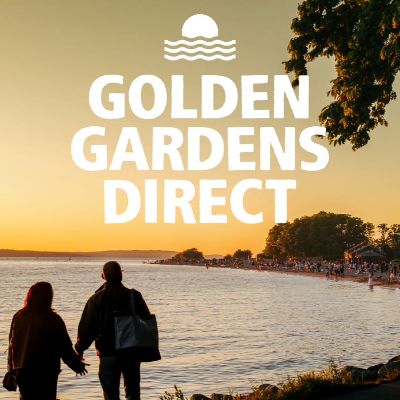 New summer transit service makes Golden Gardens easier to reach without a car