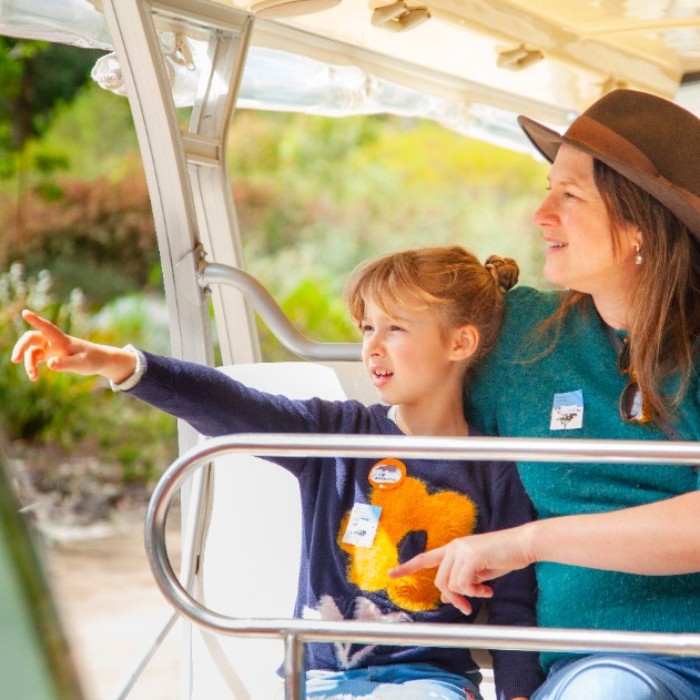 🚍 Cran: kids 1/2 price explorer bus