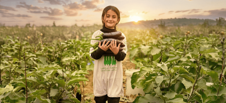 APN Newsletter (January - March 2026)