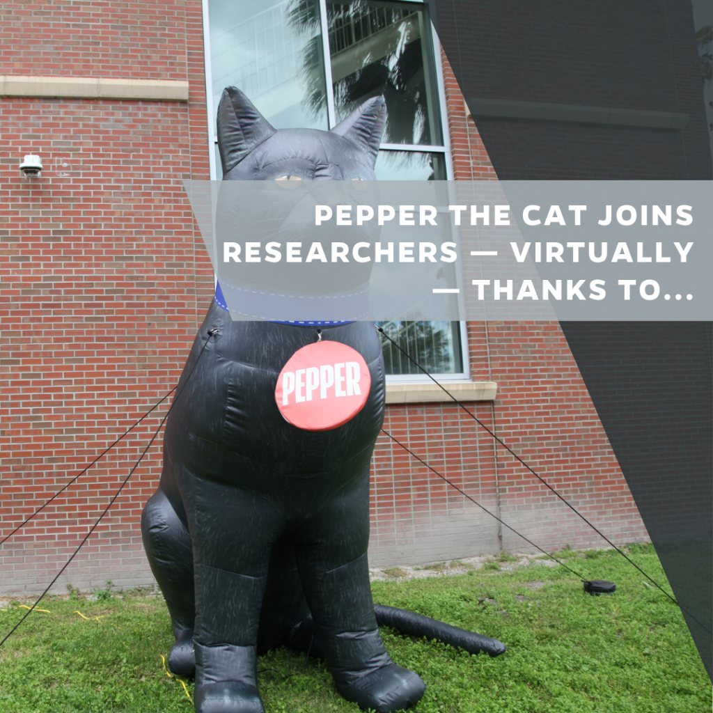 Pepper the Cat joins researchers &mdash; virtually &mdash; thanks to HiPerGator chatbot