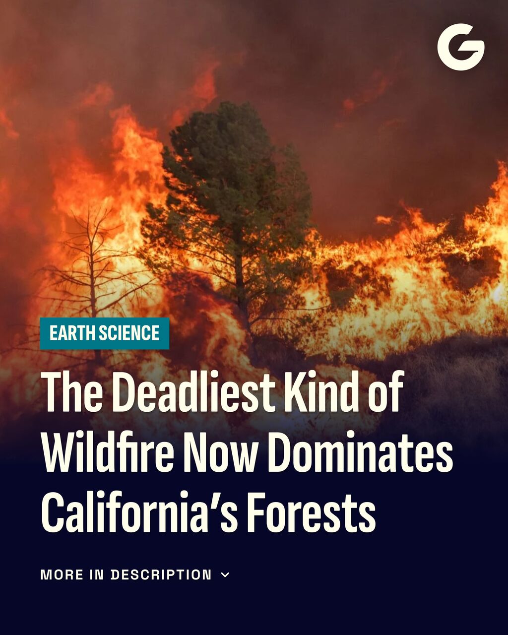 The Deadliest Kind of Wildfire Now Dominates California&rsquo;s Forests