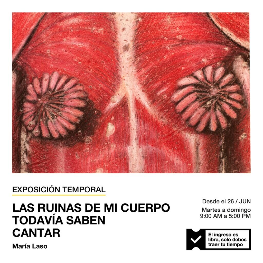[NUEVA EXPOSICI&Oacute;N TEMPORAL] "LAS RUINAS DE MI CUERPO TODAV&Iacute;A SABEN CANTAR" DE MARIA LASO