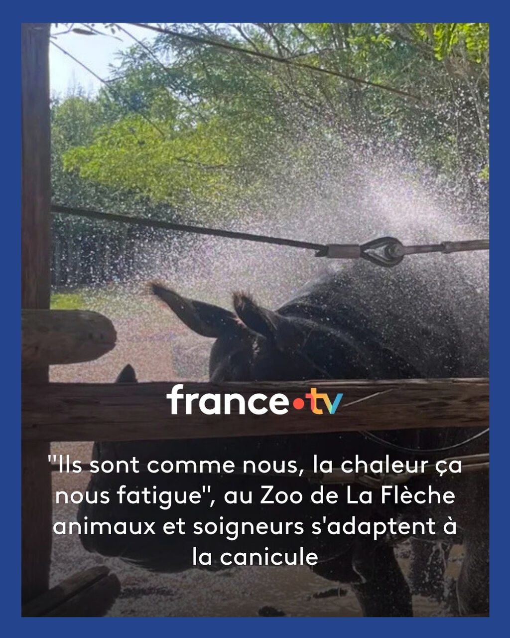 au Zoo de La Fl&egrave;che animaux et soigneurs s'adaptent &agrave; la canicule