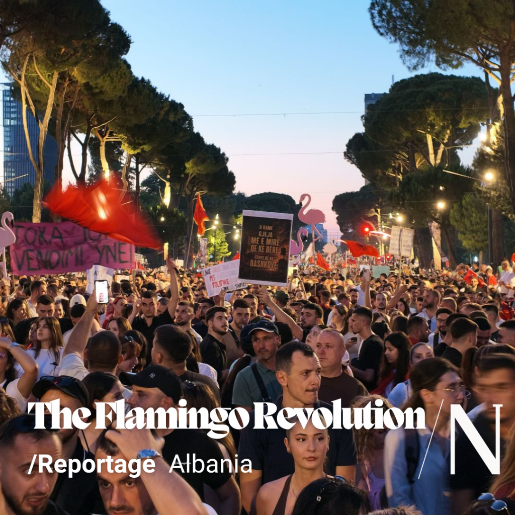 Albanians Embrace Their &lsquo;Flamingo Revolution&rsquo;