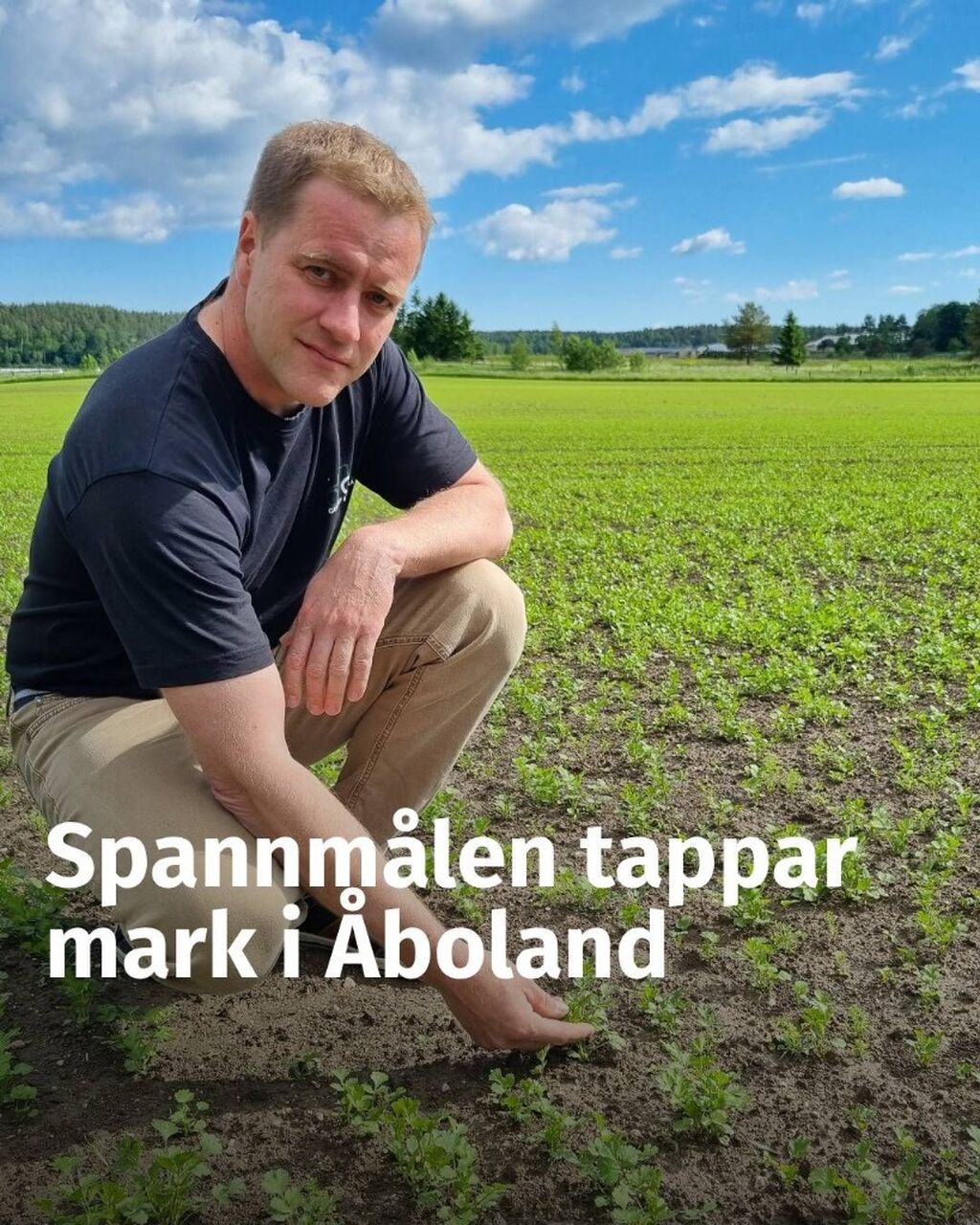 Spannm&aring;len tappar mark i &Aring;boland &ndash; &rdquo;Man f&ouml;rlorar nog r&auml;tten att klaga om man s&aring;r spannm&aring;l i &aring;r&rdquo;