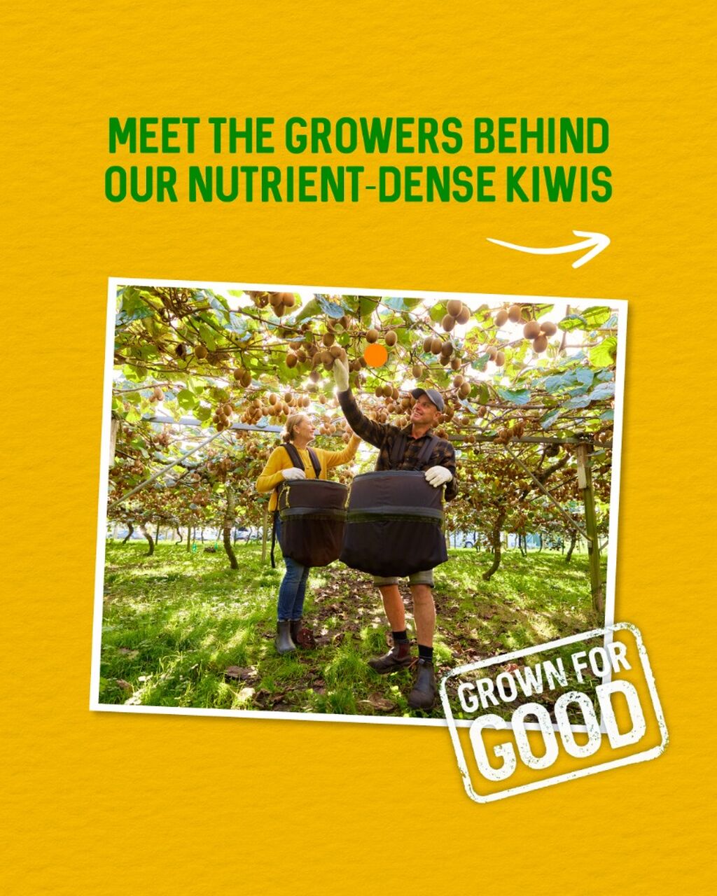 Zespri Growers